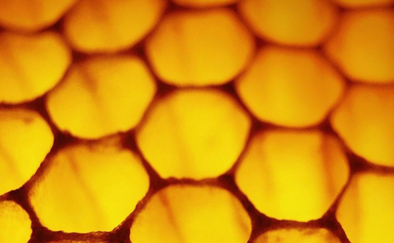 Honeycomb