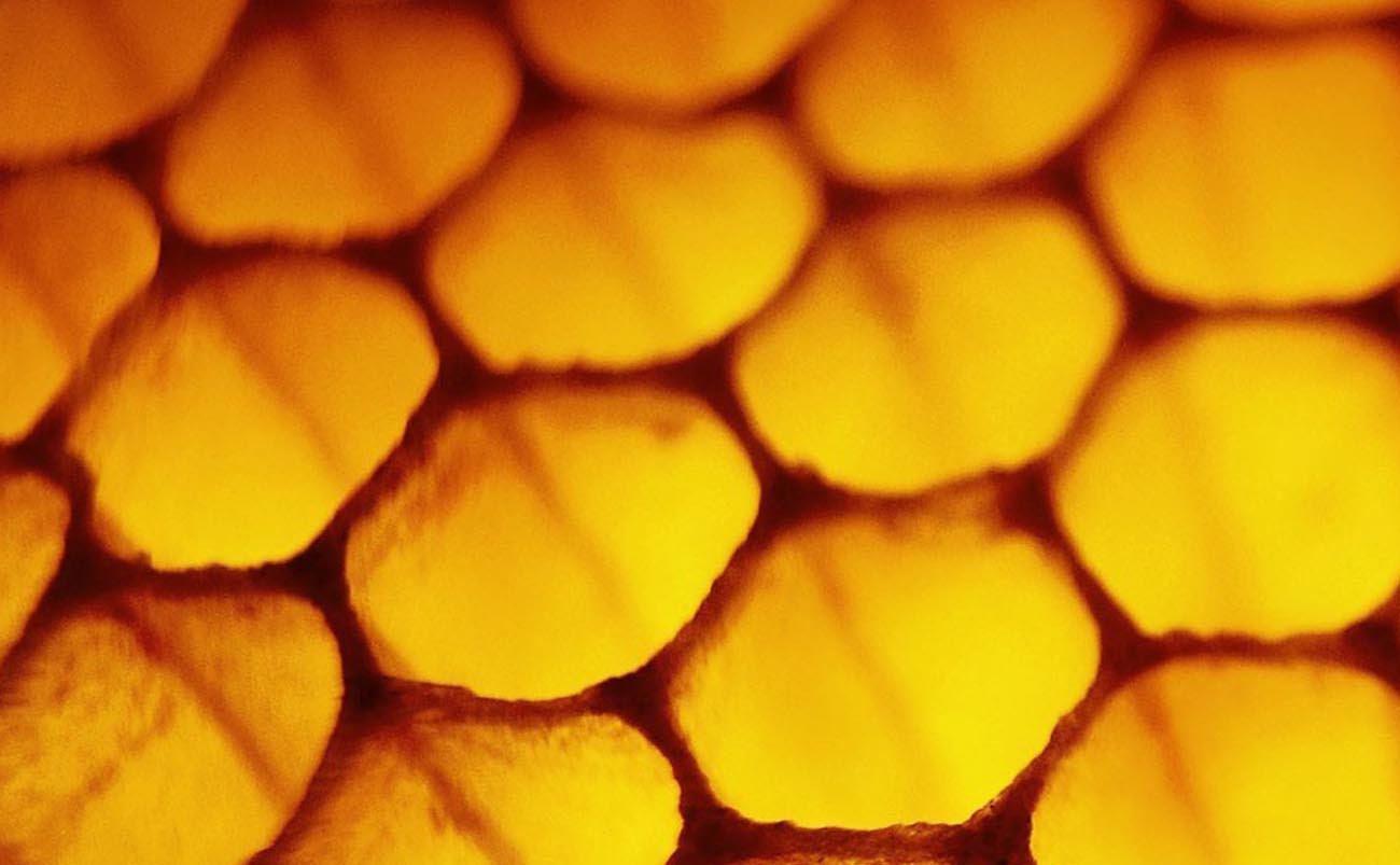 Honeycomb