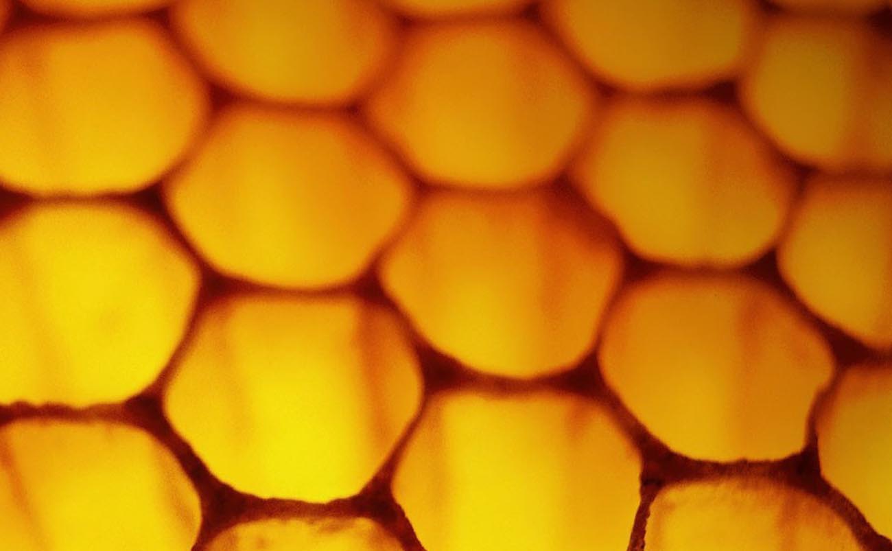 Honeycomb