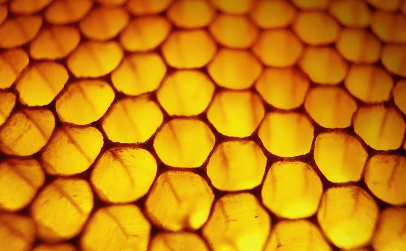 Honeycomb